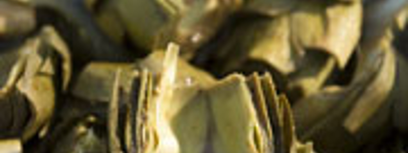 Balsamic grilled artichokes with lemon horseradish sauce