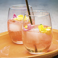 St. Germain mule