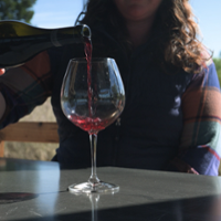 CA GROWN: Red, red wine