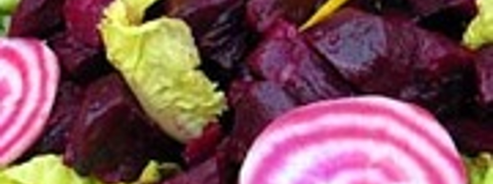 Beet, walnut and blue cheese salad