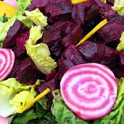 Beet, walnut and blue cheese salad