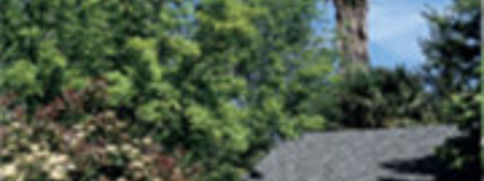 Landscape Pest Identification Cards