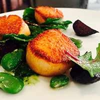 Scallops with beet greens