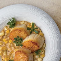 Seared scallop with hominy risotto