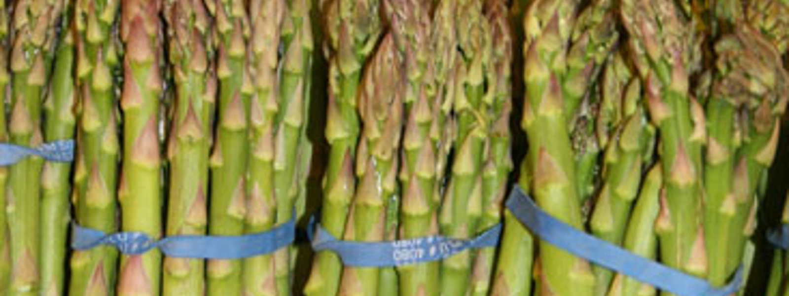 Fast and elegant asparagus