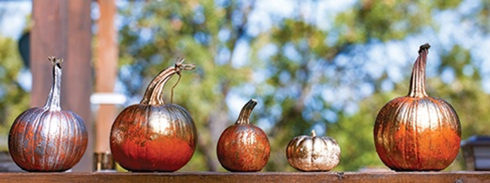 Gardening: From plain to pretty