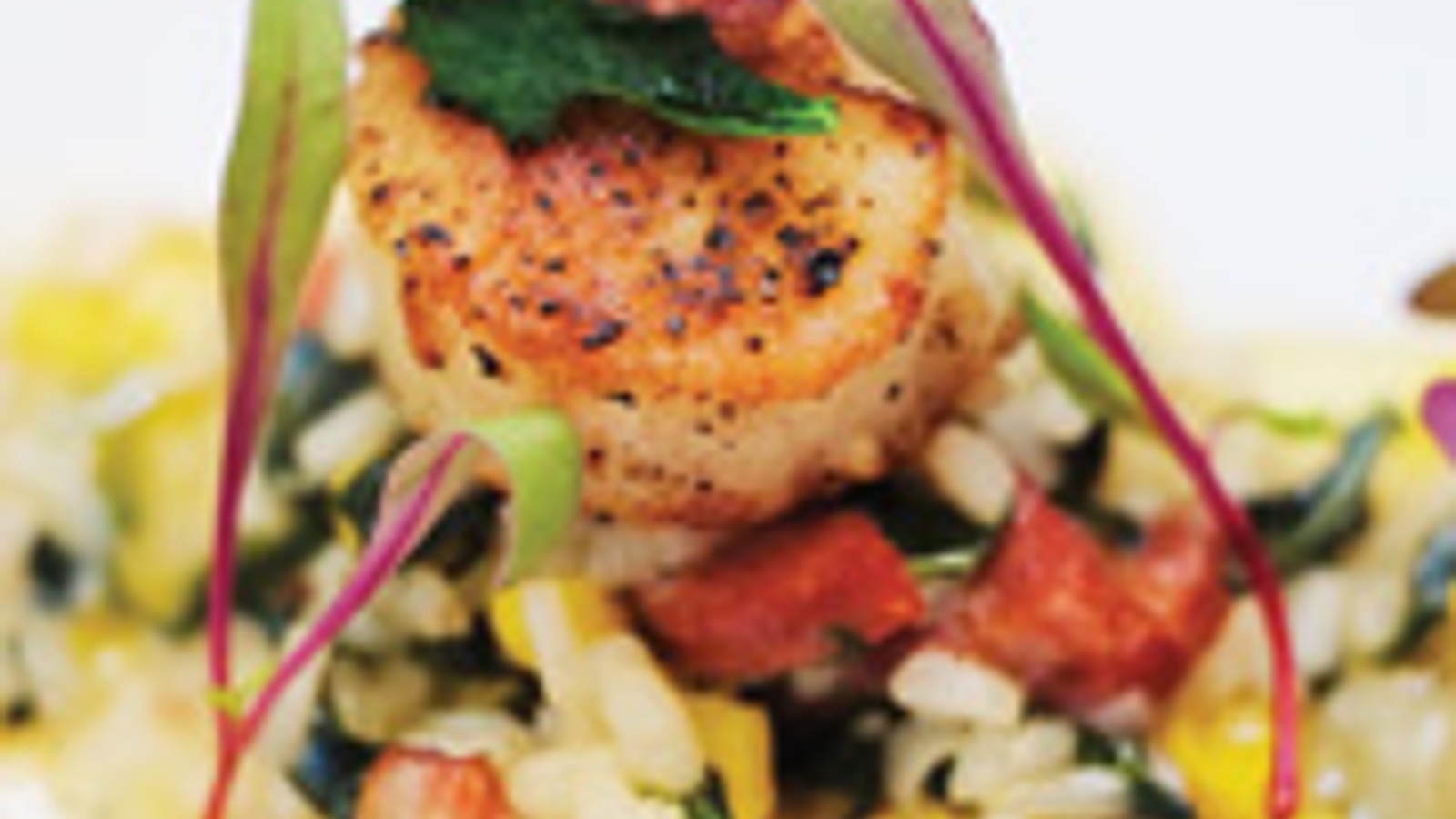 Collard greens risotto with scallops