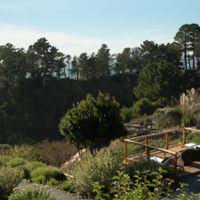 A Hidden Gem in Mendocino County: Harbor House Inn, Restaurant & Farm