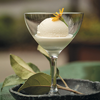 Anise hyssop ice cream