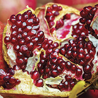 Aunt Doralie's pomegranate cranberry sauce