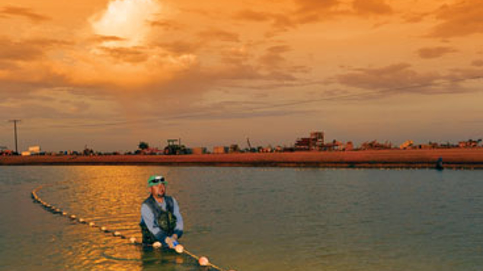 A California fish story