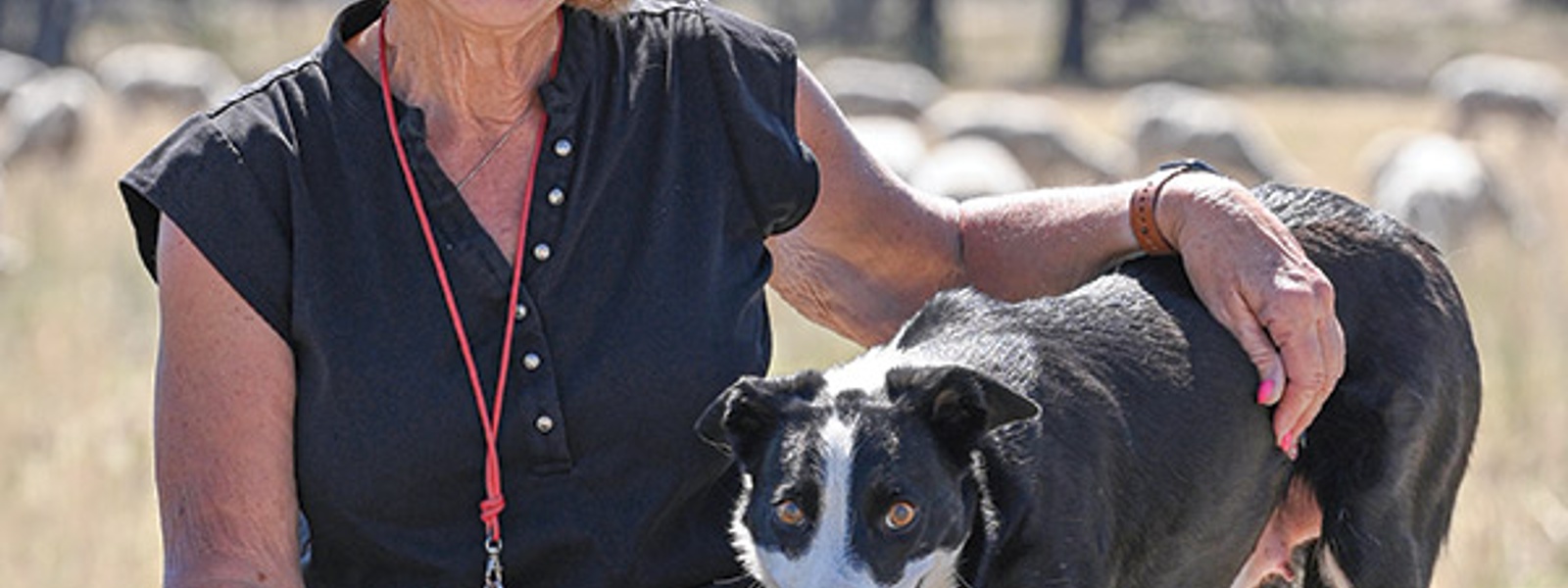 It's a bountiful life: From pups to ranch partners