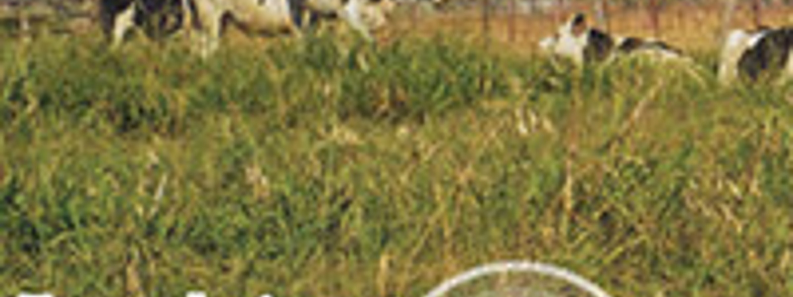 Looking through the lens