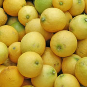 Fennel and parsley salad with Meyer lemons