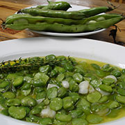 Fava bean ragout