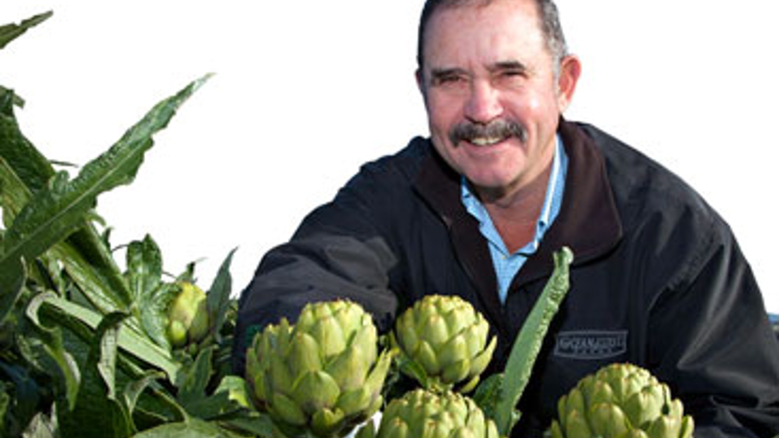 Artichokes 101