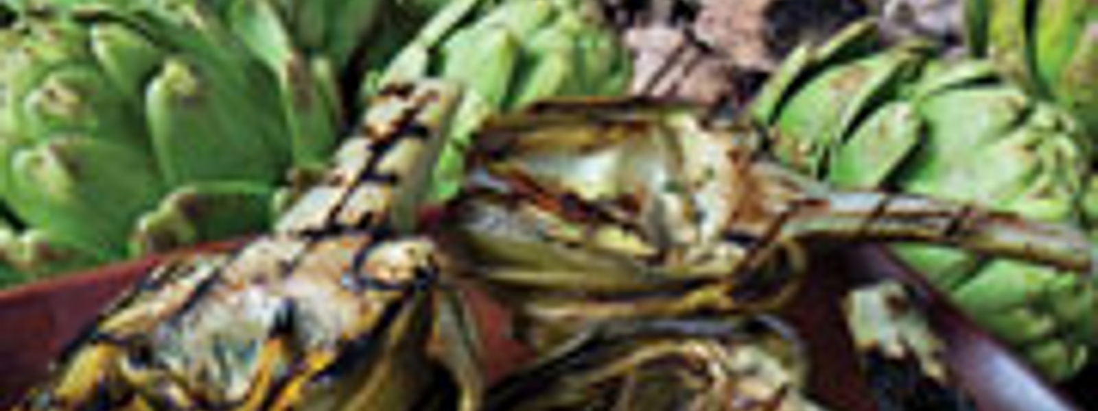 Grilled artichokes with caper aioli