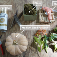 DIY Fall Succulent Pumpkins