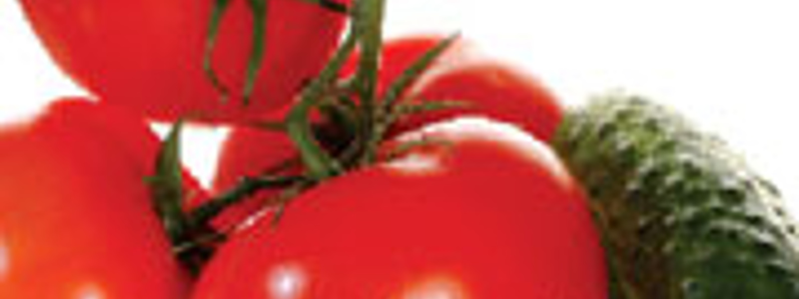 It's summertime and the produce is prime
