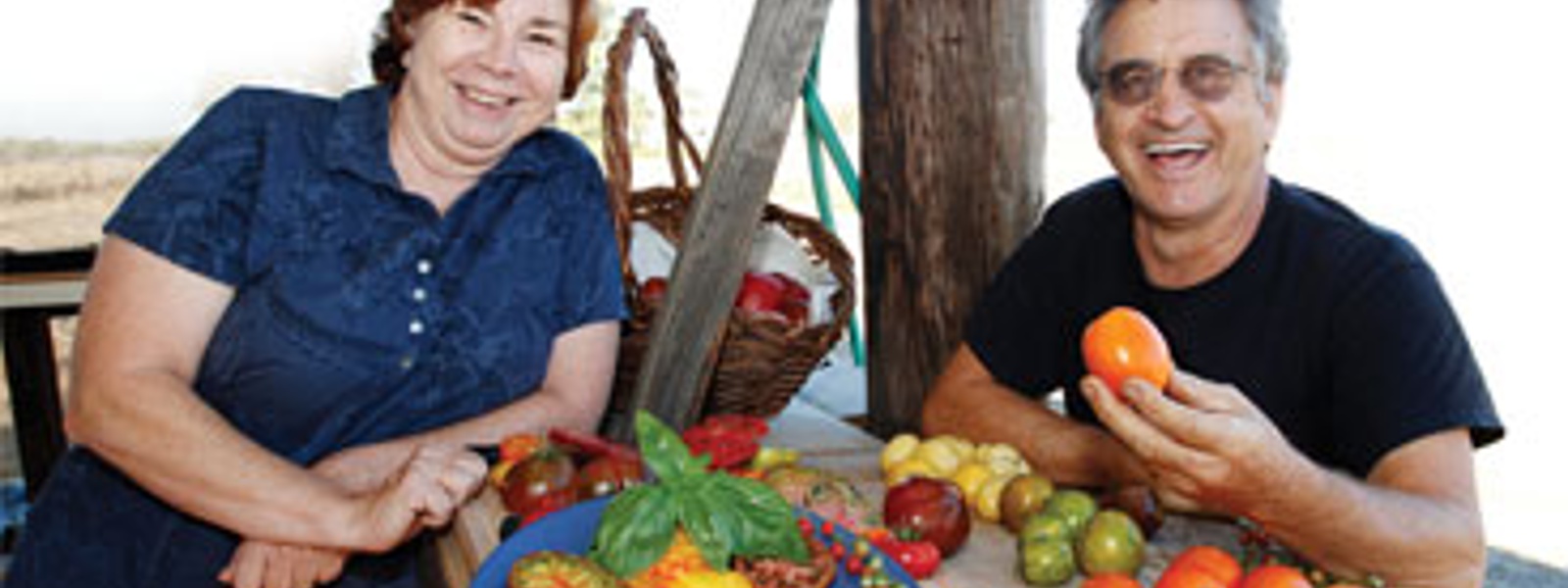 Plant some fun-and history-in the garden with heirloom tomatoes