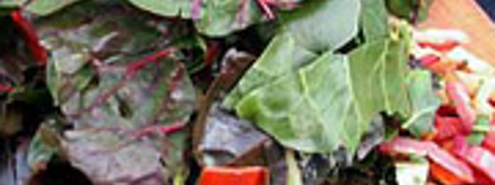 Sauteed Swiss chard