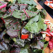 Sauteed Swiss chard