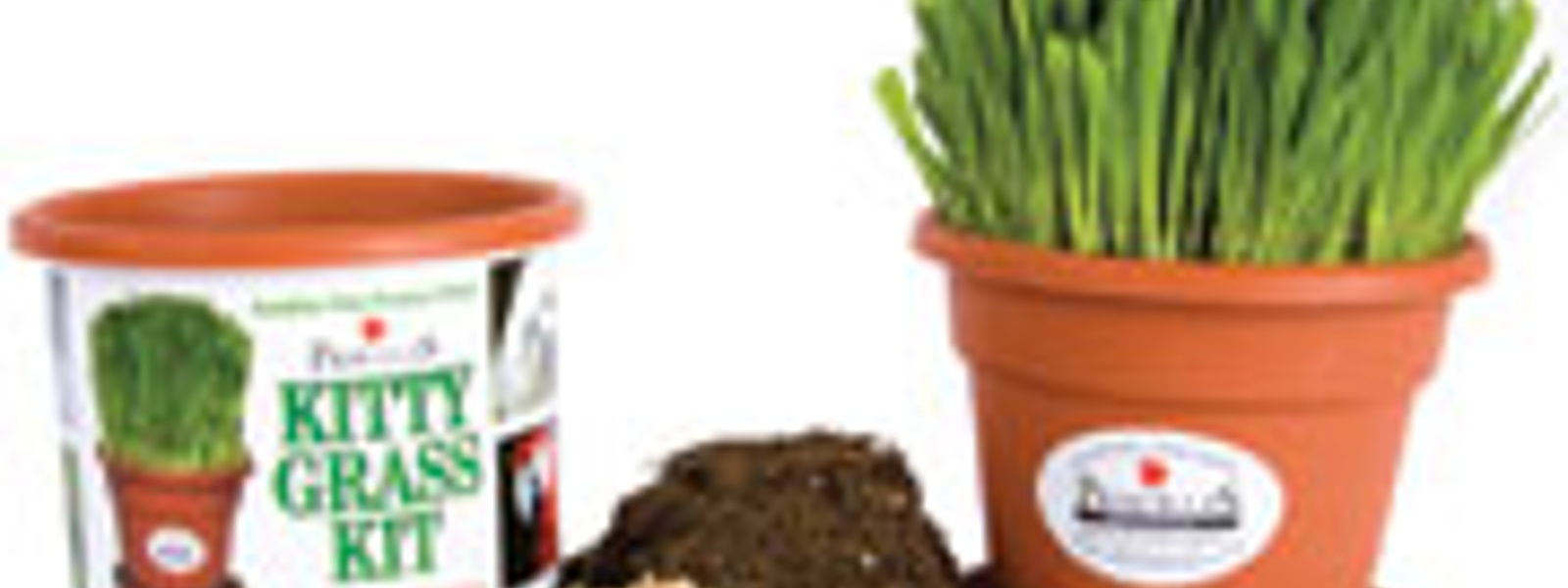 Fresh ideas: Pamper your pets