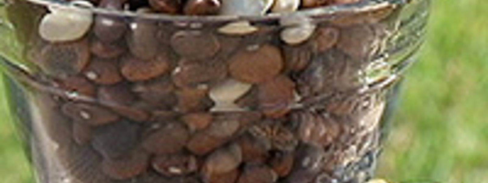 Let's hear it for heirloom beans