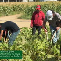 Madera FFA farm school