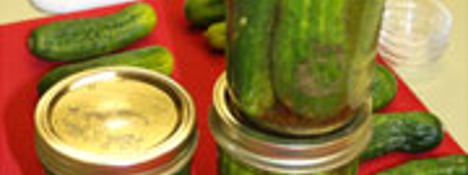 Quick dill pickles