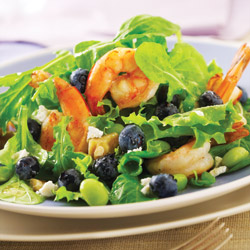 Blueberry-shrimp salad with lemon vinaigrette