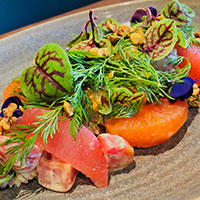 Beet salad with farro and yogurt dill vinaigrette