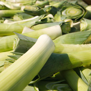 Braised leeks with young celery and local dates