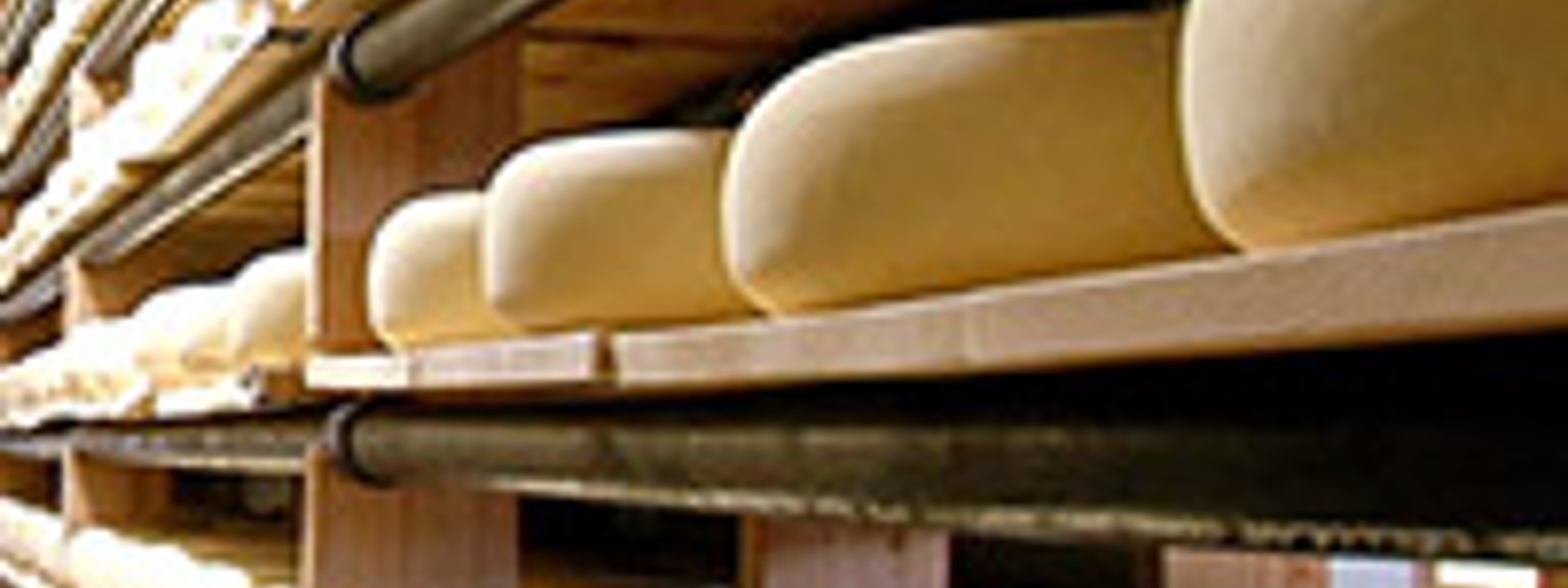 Point Reyes Farmstead Cheese