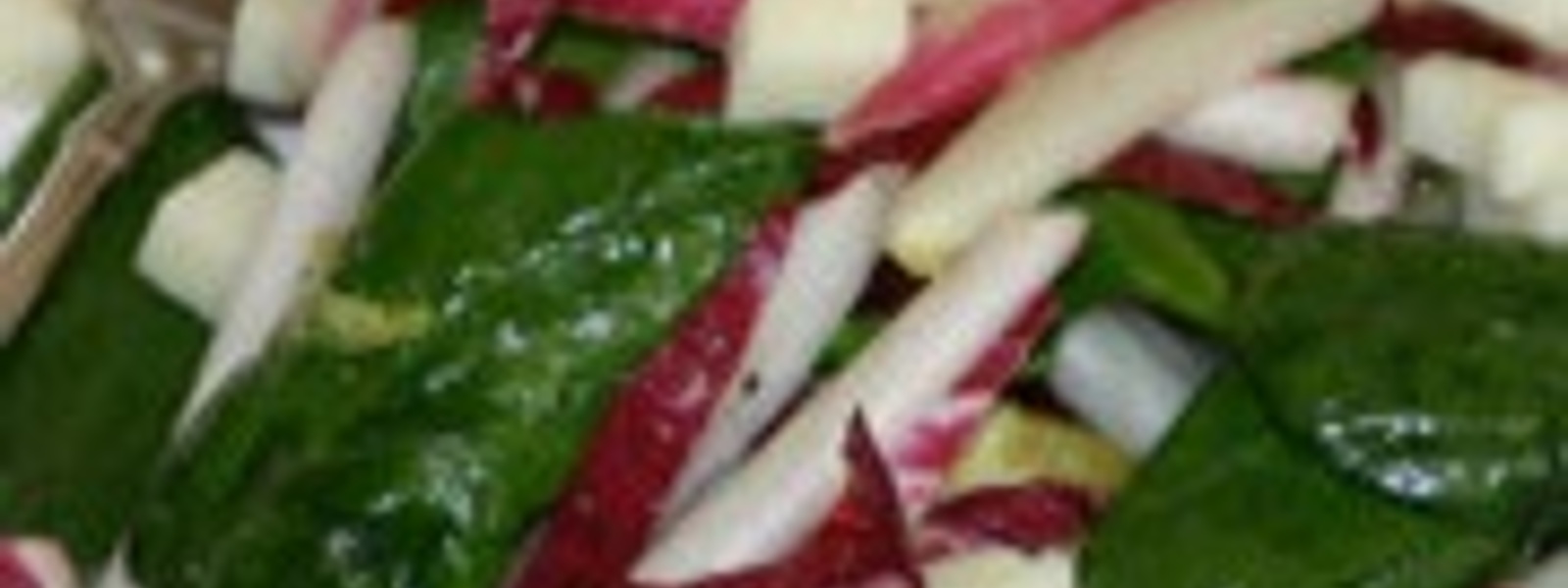 Salad of spinach, radicchio, endives and pecorino cheese