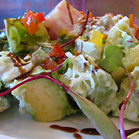 California avocado salad with Dungeness crab