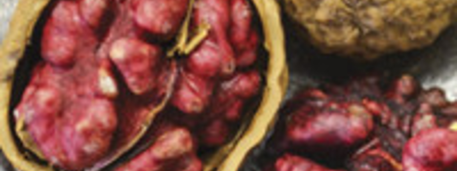 Crimson kernels
