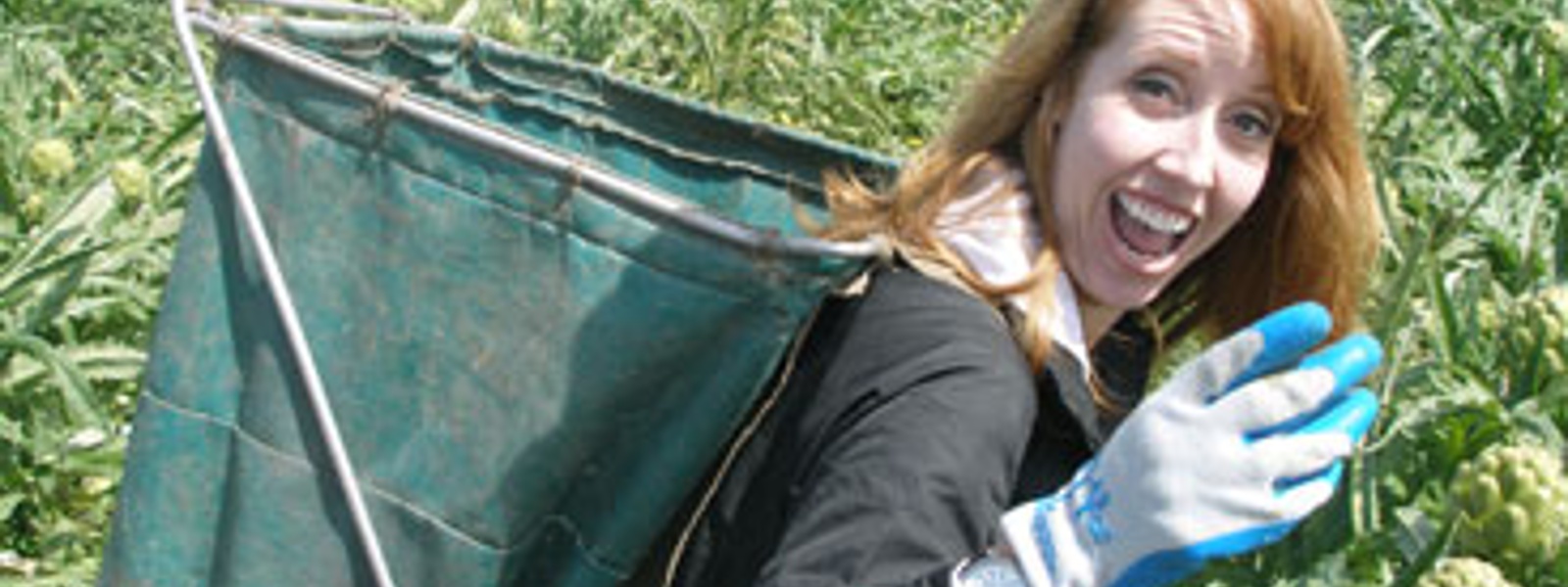 California Bountiful