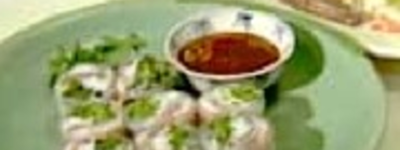 Rice paper-wrapped salad rolls  (goi cuon)