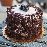 Chocolate blackberry mousse cake